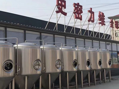 昌平精酿啤酒设备厂—如何判断精酿啤酒设备的密封件需要更换？